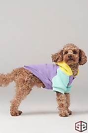 Salya Store Positive Vibes Küçük Irklar İçin Köpek Kıyafeti KK-127