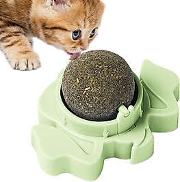 Yeni Model Catnip Kedi Çimi Topu Kedi Nanesi Oyuncağı