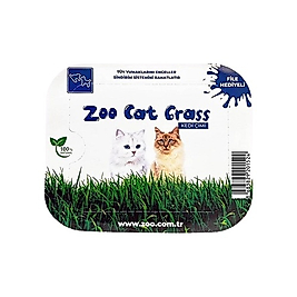 Zoo Cat Grass Fileli Kedi Çimi