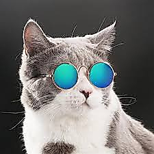 Kedi Güzeş Gözlüğü 9*3 cm