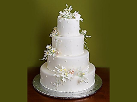 Nişan&Düğün Pastaları N-01