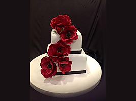 Nişan&Düğün Pastaları N-29