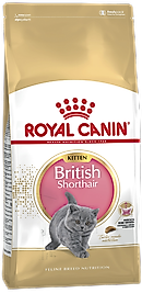 Royal Canin British Shorthair Kitten 2 Kg Kedi Maması