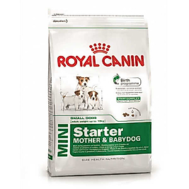Royal Canin Mini Starter Mother & Babydog 3 Kg