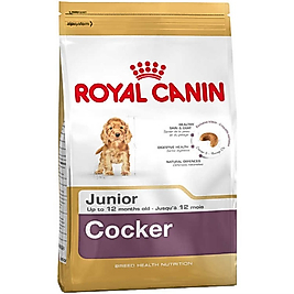 Royal Canin Cocker Junior 3 Kg