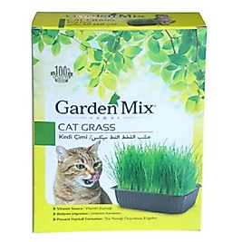Garden Mix Kedi Çimi