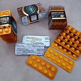 Tyson Gold Enrofloxin 20Mg Bulgar Hapı 100 Tablet