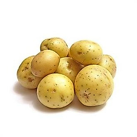 Patates Taze Kg