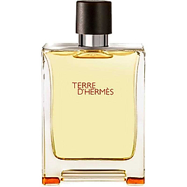Hermes Terre D’Hermes EDT 100ml Erkek Tester Parfüm
