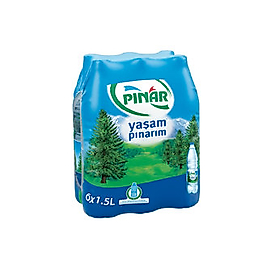 Pınar 1,5 lt Pet Su 12 Adet