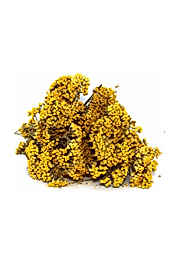 Civan Perçemi Sarı Çiçek 1 Bağ  60 -70 Gram arasındadır