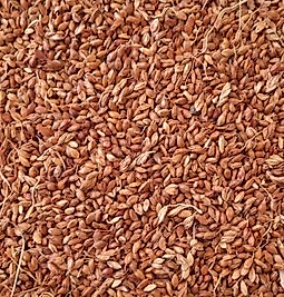 Süpürge Tohumu İlaçsız  Doğal üründür 100 Gram