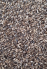 Deve Dikeni Tohumu İlaçsız  Doğal üründür 250 Gram
