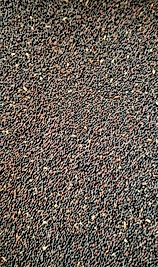 Siyah Hardal  Tohumu İlaçsız  Doğal üründür 100 Gram