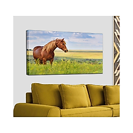 At ve Doğa Manzaralı Dekoratif Kanvas Tablo 35 x 50 cm