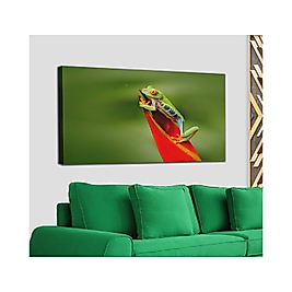Renkli Kurbağa Dekoratif Kanvas Tablo 35 x 50 cm