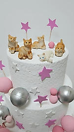 Himi Pasta Süsleri Sevimli Kediler Maket Kürdanlı Cupcake Pasta Süsleri 5 Parça Doğum Günü Süsleri Pasta Kürdanı