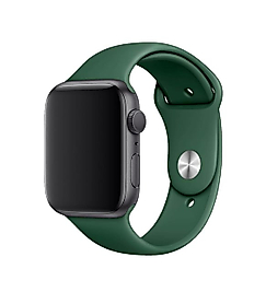 Apple Watch 38-40-41 mm Silikon Kordon