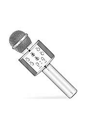 Karaoke Mikrofon Gümüş