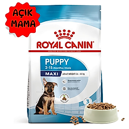 Royal Canin Maxi Puppy (Açık Köpek Maması)