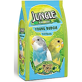 jungle young budgıes