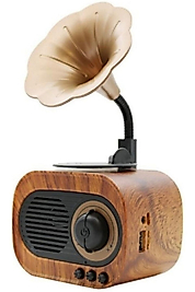 Forland B5 Nostaljik Mini Radyo Gramofon Bluetooth Hoparlör Fm Usb Sd Yüksek Ses Speaker