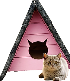Şıngıl Çatılı Ahşap Kedi Yuvası, 50X50 cm