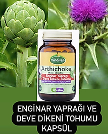 Enginar yaprağı deve dikeni tohumu kapsul