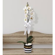 Gold Çizgili Vazoda Tek Dal Orkide Çiçeği