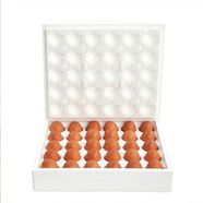 Organik Yumurta 30 Adet