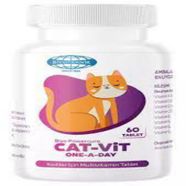 Biyo Powercure  Cat -Vit  60 Tablet  (Kediler için vitamin)