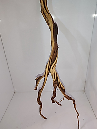 Flame Wood Akvaryum Dekor