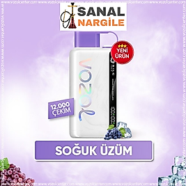 Vozol 12000 Puff Grape ice