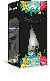 MİSSTERİX DİOMAND BLACK TEMİZLİK SETİ *1