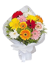 Renkli Gerbera Buketi