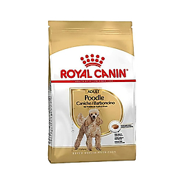 Royal Canin Poodle Yetişkin Köpek Maması (3 kg)