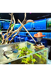 Büyük Boy Köşede Balık Tutan Adam Figürü (10 cm)