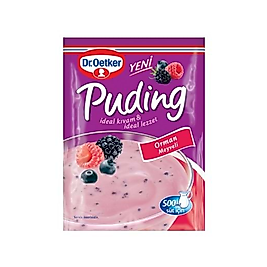 Dr.Oetker Orman Meyveli Puding Toz Karışımı 81 G