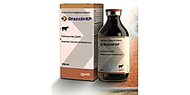 DRAXİN KP 250 ML  ( HEKİME TANIŞINIZ)