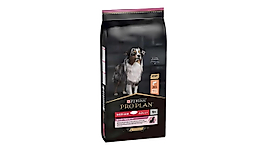 Pro Plan Sensitive Digestion Medium Irk Somonlu Yetişkin Köpek Maması 10 kg
