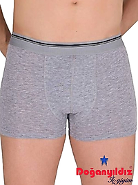 Doğan Yıldız 2810 Likralı Vücudu Saran Boxer Gri