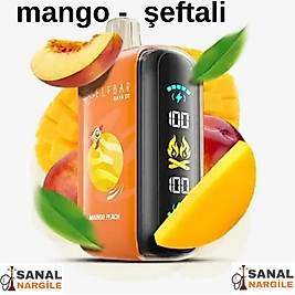 ELFBAR  RAYA D3 25000 MANGO PEACH