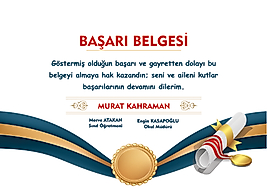 BAŞARI BELGESİ