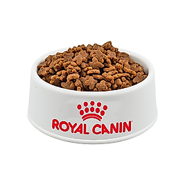 Açık Royal Canin Büyük Irk Açık Yetişkin Köpek Maması