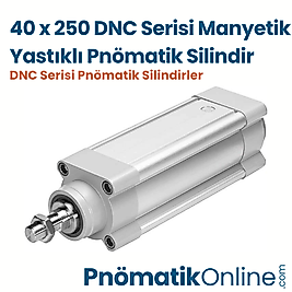 40x250 Manyetik Yastıklı Pnömatik Silindir