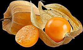 Altın çilek
