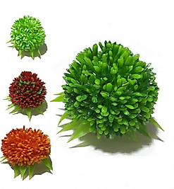Plastik Top Bitki 10 cm