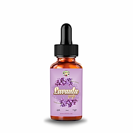 Lavanta Yağı 10 gr