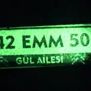 Kişiye özel plaka anahtarlık fosforlu