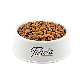 Felicia Hipoalerjenik Düşük Tahıllı Tavuk Etli Açık Kısırlaştırılmış Kedi Maması 500 Gr